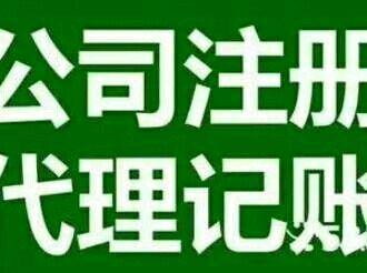 溫州代理記賬收費(fèi)標(biāo)準(zhǔn) 溫州會(huì)計(jì)代理公司 上門服務(wù)