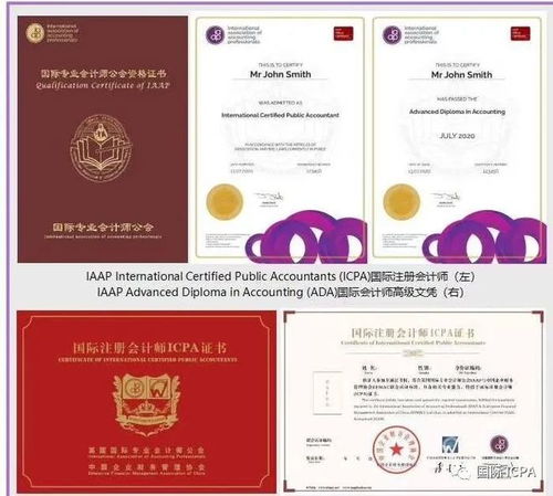 國際會(huì)計(jì)師財(cái)務(wù)類證書報(bào)名時(shí)間 價(jià)格 眾多證書任你選,