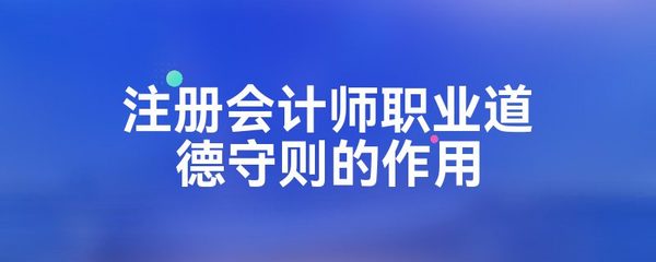 注冊會計(jì)師職業(yè)道德守則的作用
