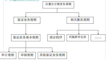 審計學(xué)復(fù)習(xí)要點答案