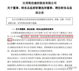 29歲注冊會計師成為上市公司財務總監, 看完他的履歷終于知道了原因