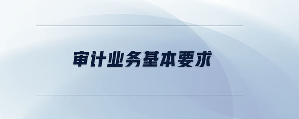 「審計程序」審計業務基本要求